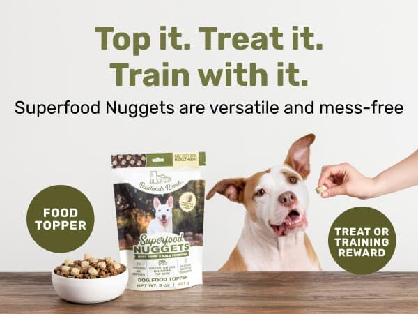 Superfood Nuggets- Premium, Freeze-Dried raw Dog Food Topper or Treat. Powerful Nutrient-Dense Ingredients. No Artificial additives. Duck and Kale Formula 8oz - 4pk Bundle