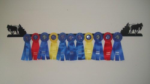 Showoff Black 14ga Steel Award Rack - Horse, Wall Mount or Stall Mount, USA Made