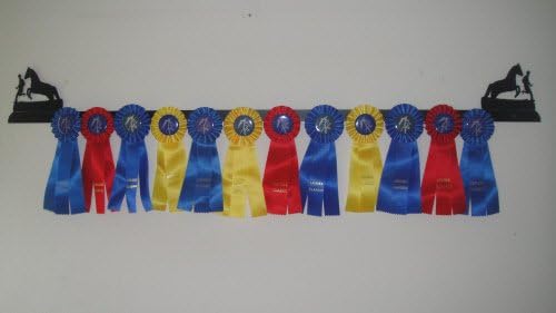 Showoff Black 14ga Steel Award Rack - Horse, Wall Mount or Stall Mount, USA Made