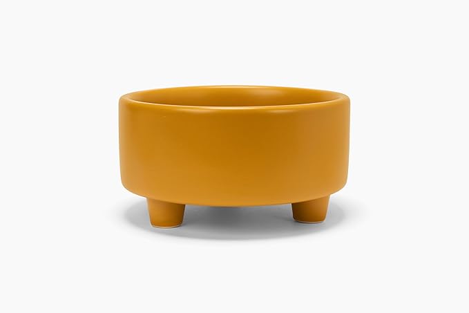Waggo Uplift Ceramic Dog Bowl for Small Medium and Large Breeds - Heavyweight and Durable Pet Food and Water Dish Crock, Dishwasher Safe, Modern, Elevated Feeder (Mustard, Small)