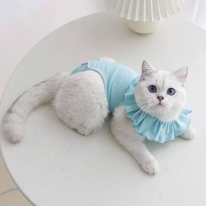 Cat Recovery Suit for Abdominal Wounds and Skin Diseases,Breathable Surgical Recovery Shirt After Surgery Wear Anti Licking Wounds,E-Collar Alternative for Female Cats Kitten(RSC01-green-m)