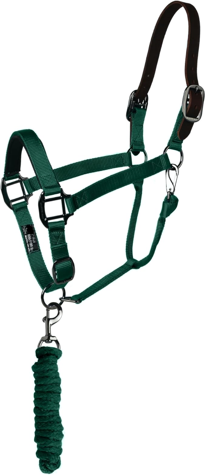 Majestic Ally Leather Halter with Matching Lead Rope for Horses – Leather Breakaway Crown - Adjustable Chin Strap – Rolled Throat Latch – Padded Noseband – Full (Hunter Green, Full)