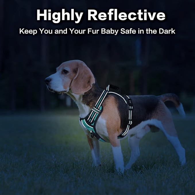 PoyPet No Pull Dog Harness, No Choke Front Clip Reflective Dog Vest with Soft Padded Vertical Handle, 3 Leash Attachments for Small Medium Large Dogs (Mint Blue,XL)