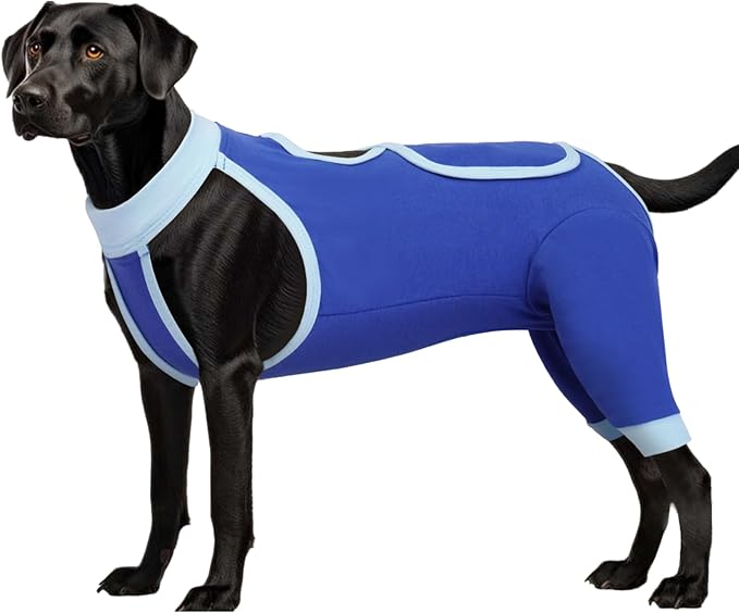 ROZKITCH Dog Surgery Leg Sleeve Rear Legs, Male Female Pet Prevent Licking Wound Elbow Knee Protector, Dog Recovery Suit Cone Collar Alternative Pants Shirt for Wound Heal Wrap Blue L