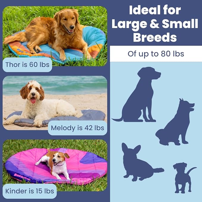 Travel Dog Bed (42" x 30") – Foldable, Packable Camping Dog Bed – Water Resistant, Cozy & Durable Mat with Soft Padding – Compact, Portable & Machine Washable – Large & Small Breeds - Teal