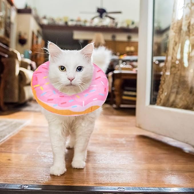 BINGPET Soft Donut Cat & Small Dog Recovery Collar, Adjustable Protective Pet Cone After Surgery