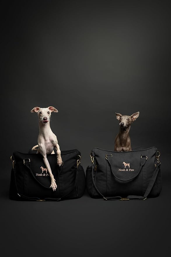 Noah & Paw Dog Car Seat Carrier, Small Dog Car Seat for Small Medium Pets with Harness Clip, 4X Safety Feature, Booster Travel Bed, Waterproof Washable, Orthopedic Foam Filling, Canvas Collection