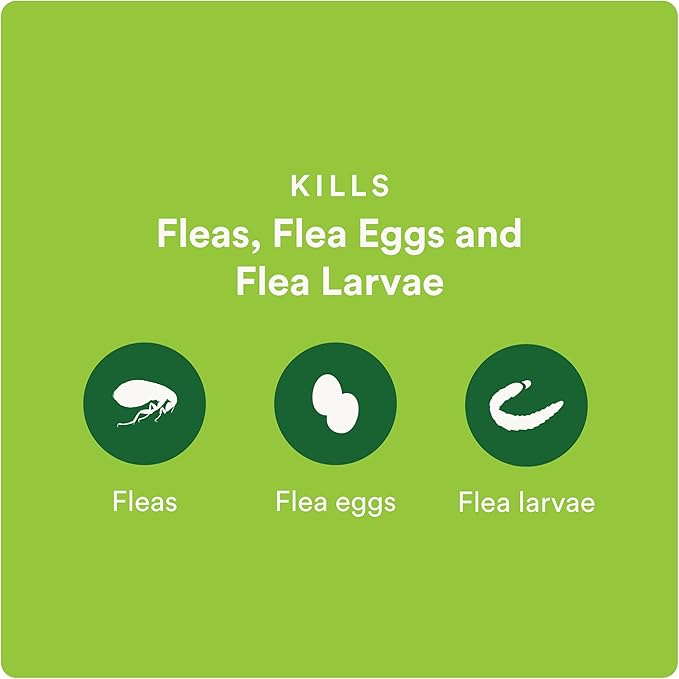 Plus Flea Prevention for Cats, Cat and Kitten Treatment & Control, Small and Large, Fast Acting Waterproof Topical Drops, 6 Month Supply