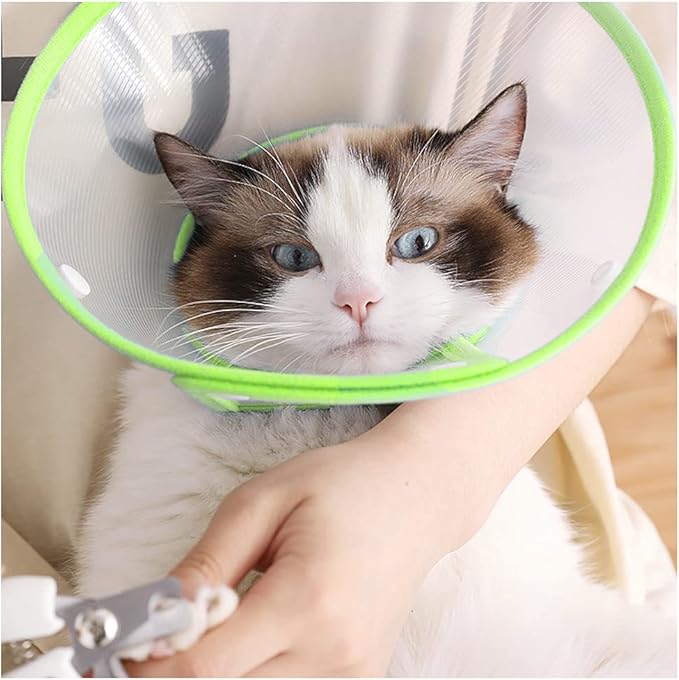 Pet Cone Recovery Dog Cone Adjustable Dog Collar Clear Padded Collar with Breathable Soft Edge, Plastic Puppy Cone Protect The Neck Surgery Recovery, Designed for Cats and Puppies (Small, Green)