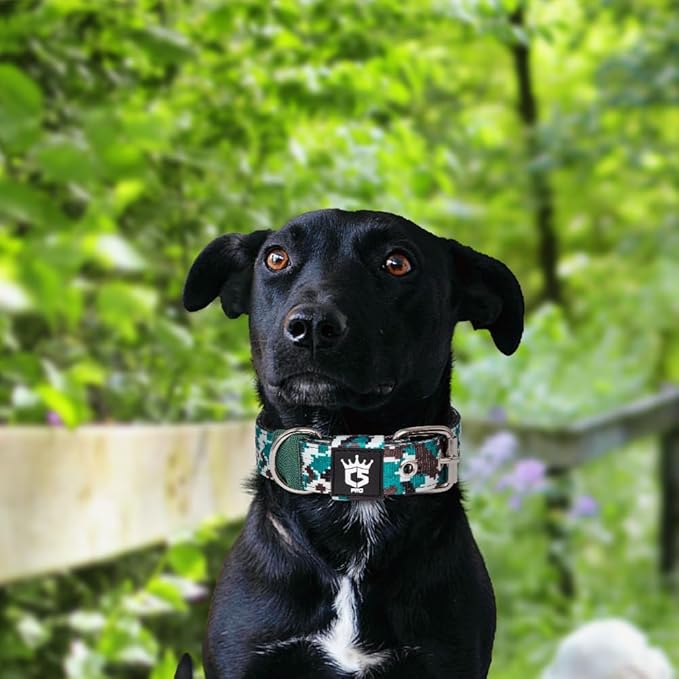 TSPRO Tactical Dog Collar 1.25 Inch Wide Thick Dog Collars with Heavy Duty Metal Buckle, Durable, Strong, Adjustable for Small Dogs (Camo Cyan S)