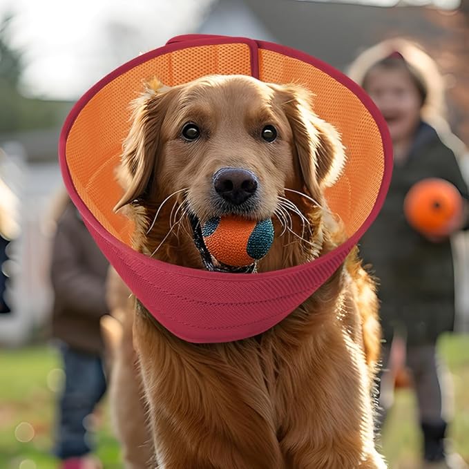 Inspack Soft Dog Cone Collar Alternative, E Cones for Medium Small Dogs/Cat to Stop Licking After Surgery, Neuter Recovery Ecollars of Shame Alternatives, Comfortable Paws Comfy Elizabethan Collars