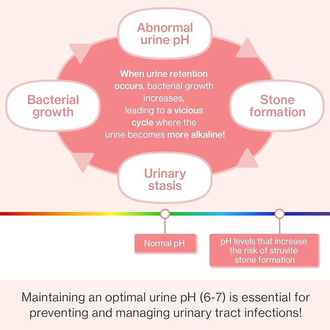 Dr.by UT Care Cat UTI Kidney Support Urinary Supplement Cranberry Treatment for Cats Renal Health with Pacran, Quercetin, Taurine lickable Formula Individually Packaged (1 Pack)
