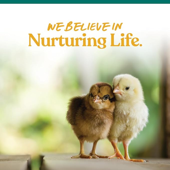 Manna Pro Chick Grit Digestive Supplement for Young Growing Poultry & Bantam Breeds, No Artificial Ingredients or Preservatives, Natural Supplement with Insoluble Crushed Granite, 5 lbs