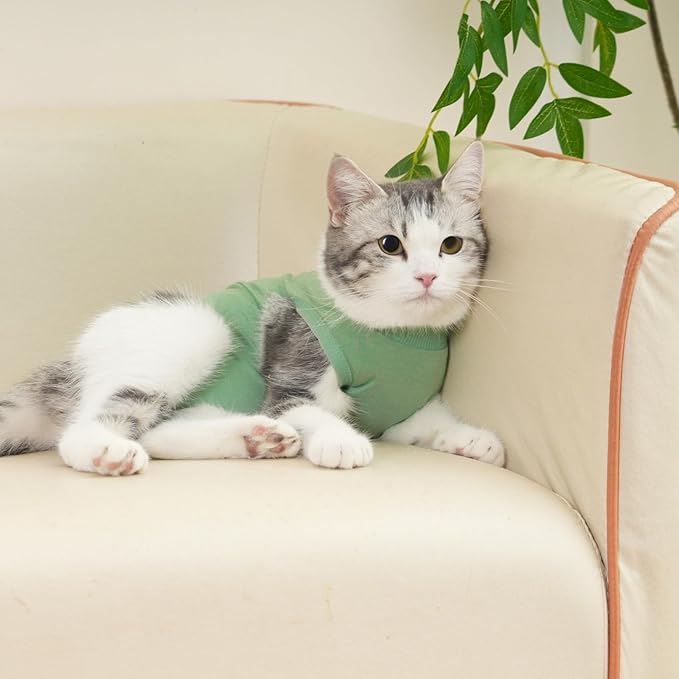 Cat Surgery Recovery Suit Professional for Surgical Abdominal Wound Or Skin Diseases E-Collar Alternative for Cats After Surgery Wear Pajama Suit (Green, Medium)