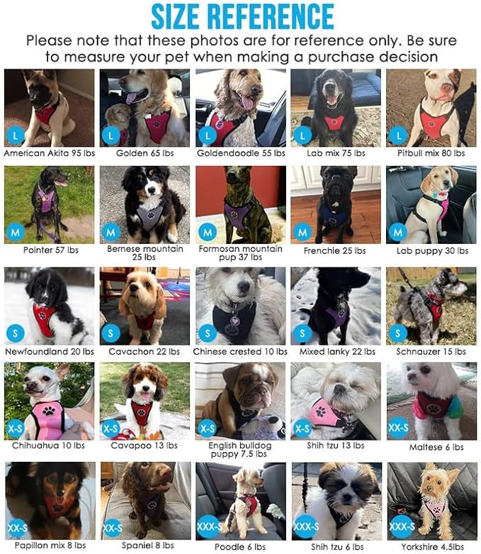 SlowTon Dog Seat Belt Harness for Car, Dog Car Harness Adjustable Mesh Breathable & Dog Seatbelt Safety Tether with Elastic Bungee for Small Medium Large Pets(Orange, Double Clip, M)