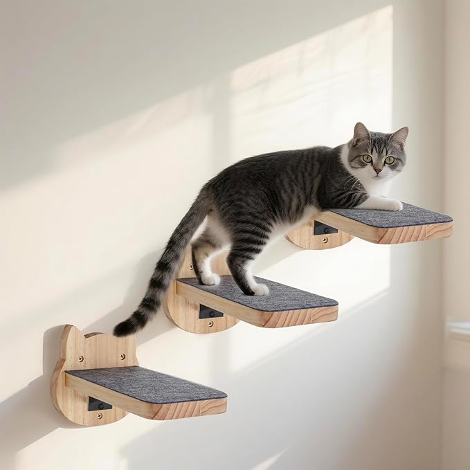 ESPETS Natural Solid Wood Cat Wall Floating Steps Set of 3 - Wall Mounted Wooden Cat Climbing Shelves and Perches, Kittty Stairs Ladder - Easy Install, Holds up 30lbs