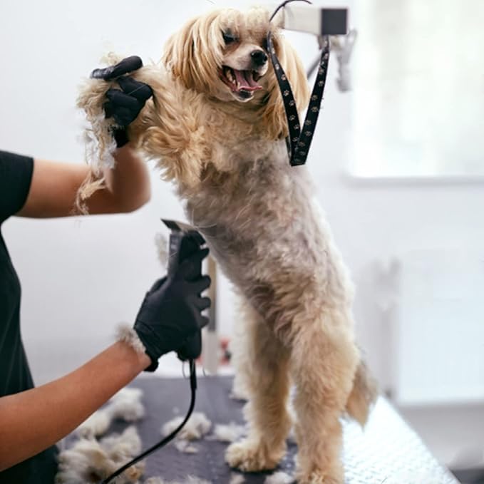 6Pack 10Blades Dog Grooming Replacement Blades Compatible with Andis Pet Clipper/Oster A5/Wahl KM Series Dog Clipper,Ceramic Blade & Stainless Steel Blade (#10+30+5FC+7FC+3FC+4F)