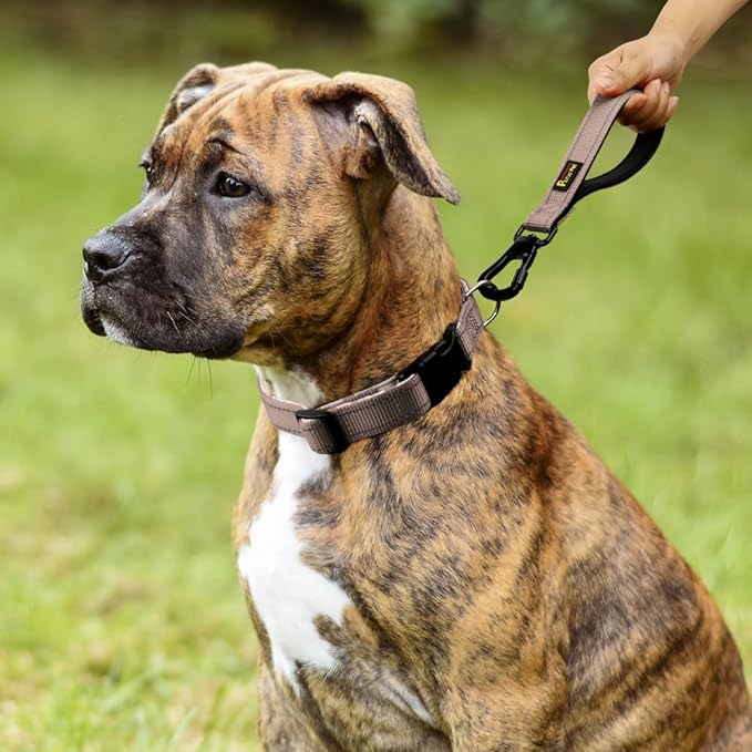 PLUTUS PET Short Dog Leash, Reflective Nylon Padded Handle, Strong Traffic Leash with Carabiner Clip, Perfect for Large or Medium Dogs (10”,Beige)