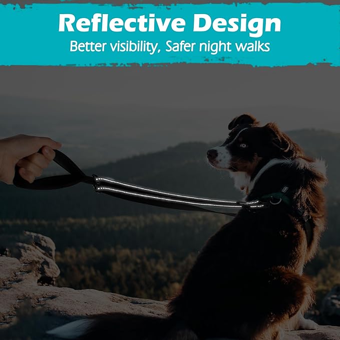 PetBonus Two Point Control Dog Leash, Works with No Pull Harnesses, No Tangle Training Leashes, Soft Padded and Reflective Walking Lead, Converts to Single Lead for Medium Large Dogs (Black)