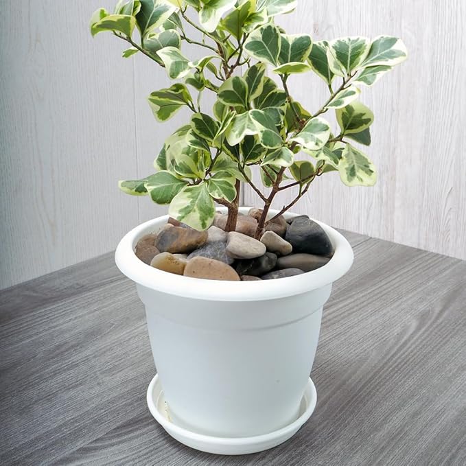 20lbs Aquarium Rocks, 5/8" Natural River Rocks for Plants Decorative Polished Mixed Pebbles for Fish Tank, Landscaping, Gardening, Flower Pots, Vase Fillers, Indoor Water Fountains