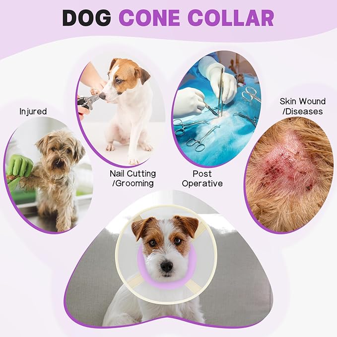 Soft Dog Cone Collar to Stop Licking-Adjustable Comfortable Mesh Recovery Collar After Surgery for Small Miniature Dogs, Alternative to Plastic Elizabethan Collars for Neuter Incision Care (Purple,L)