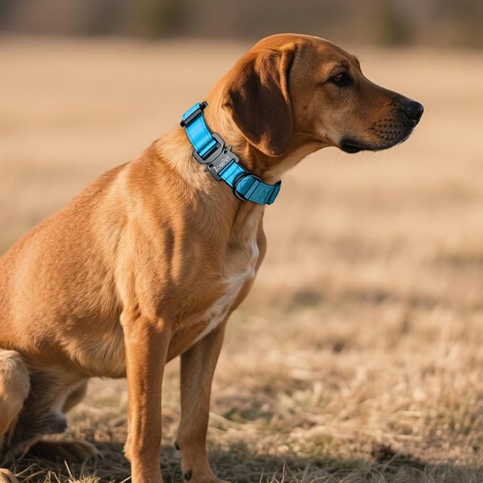 AirTag Dog Collar - Leather Dog Collar with Airtag Holder | IP68 Waterproof AirTag Holder with Metal Buckle, Comfortable GPS Dog Collars Tracker for Medium Large Dogs (Blue, XL)