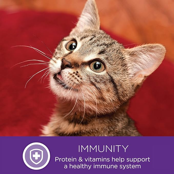 Wellness Healthly Indulgence Gravy Adult Wet Cat Food, Natural, Protein-Rich, Grain Free, 3 Ounce Pouch, 24 Pack, (Chicken & Turkey)