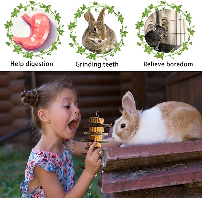 kathson Natural Small Animal Chew Toys for Teeth,4 PCS Rabbit Hanging Chewing Treats with Natural Organic Apple Stick Timothy Grass Carrot Cake for Hamsters Squirrel Guinea Pig Rabbits