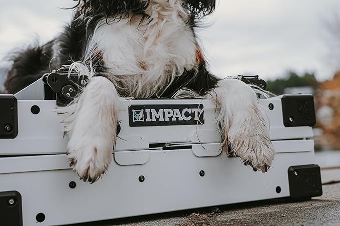 Impact Collapsible Dog Crate - Foldable Hard Crate for XXL Dogs - Heavy Duty Travel Kennel with Powder-Coated Aluminum - Quick Setup for Indoor & Outdoor (White, 48" (48" L x 27" W x 33" H))