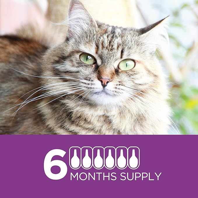TevraPet Actispot II Flea Treatment for Small and Medium Cats 5-9 lbs | 6 Doses | Powerful Prevention and Control, Clear