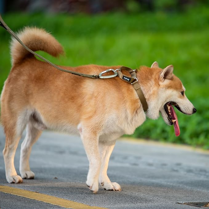 Hyhug Pets Premium Upgraded Heavy Duty Nylon Anti-Escape Martingale Collar for Boy and Girl Dogs Comfy and Safe - Professional Training, Daily Use Walking. (Army Yellow, Medium)