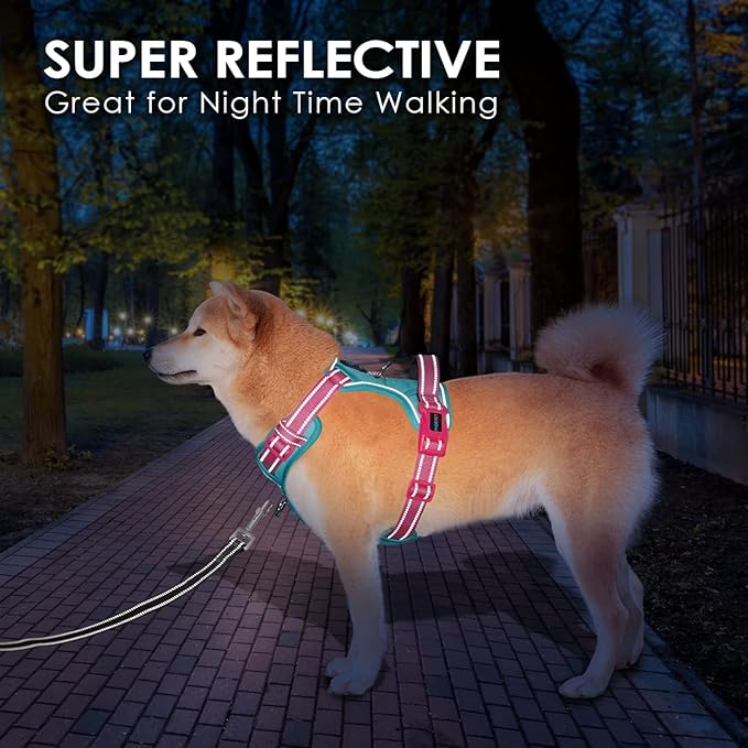 PHOEPET No Pull Dog Harness, Unique Colors Reflective Adjustable Dog Vest, with Soft Training Handle Metal Clips for Small Medium Large Dogs (Mint Green Base & Pink Straps,XS)