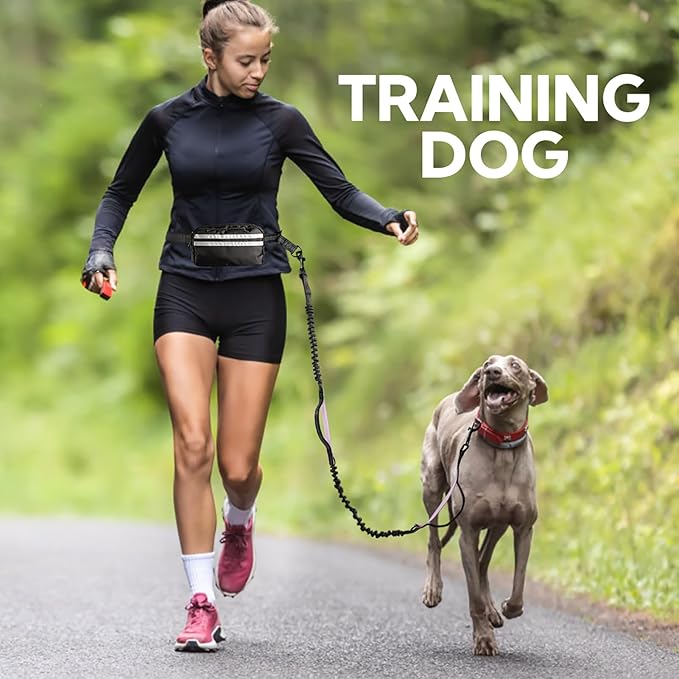 Hands Free Dog Leash, Shcok Abosoring Bungee with Double Padded Handles, Waist Leash for Dog Walking, Dog Leash with Bungee for Medium & Large Dog, Dog Walking Accessories, Black Purple