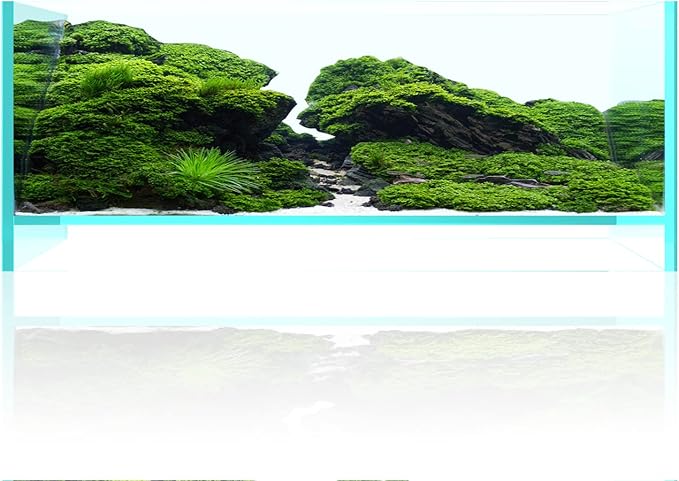 Fzone 1.7 Gal Nano Rimless Aquarium Low Iron Fish Tank NovaClear Ultra-White Translucent Glass Verso Series Nano Shallow Pond Levitating Floating Air Aquarium(A30-W18)