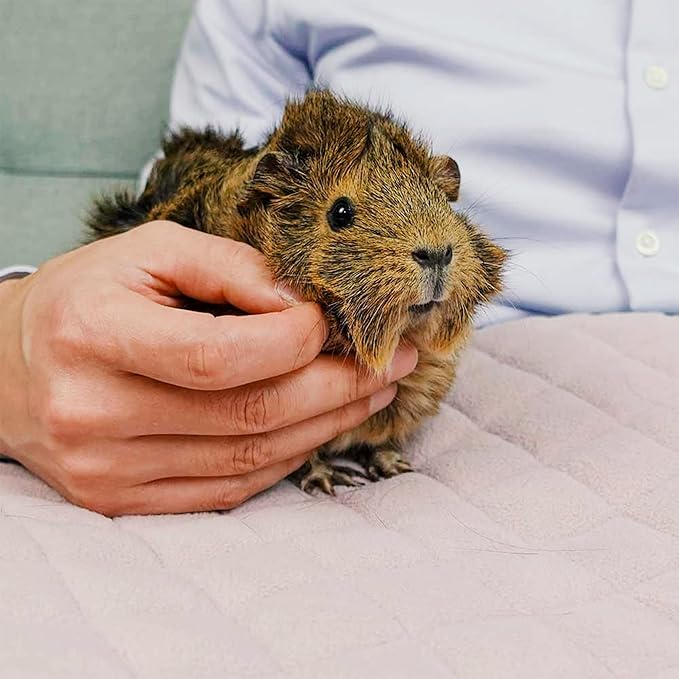 GuineaDad Premium Liner – Fleece Guinea Pig Cage Liner – 2 Pack - Ultra-Plush Reusable Fleece Bedding with Waterproof Bottom – Extra Absorbent Liner for 2x1 C&C Cage (Blush)