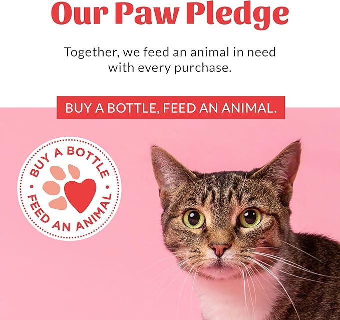 Skout's Honor Probiotic Cat Shampoo & Conditioner with Avocado Oil & Omega-3s, 97% Natural, Paraben & Sulfate-Free, Cruelty-Free, Defend Against Itch, Dryness, Irritation. 16oz, Honeysuckle