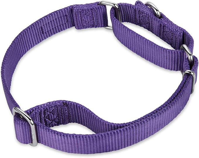 Hyhug Pets Premium Upgraded Heavy Duty Nylon Anti-Escape Martingale Collar for Pup Dogs Comfy and Safe - Professional Training, Daily Use Walking. (Small, Ultra Violet)
