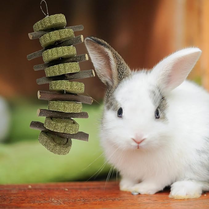 kathson Rabbit Chew Toys,Bunny Grind Teeth 100% Natural Organic Apple Wood Stick Improve Rodent Health Rabbits Hamsters Squirrel Guinea Pig(4 Pieces)