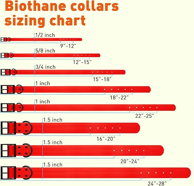 Dogline Biothane Waterproof Dog Collar Strong Coated Nylon Webbing with Black Hardware Odor- Proof for Easy Care Easy to Clean High Performance Fits Small Medium or Large Dogs, Cherry Red