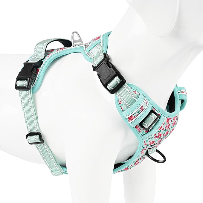 Timos Dog Harness, 3 Snap Buckles No-Pull Soft Padded Dog Vest with 2 Metal Leash Clips,Adjustable Reflective No Choke Pet Harness with Easy Control Handle for Small Dogs,Cyan,S