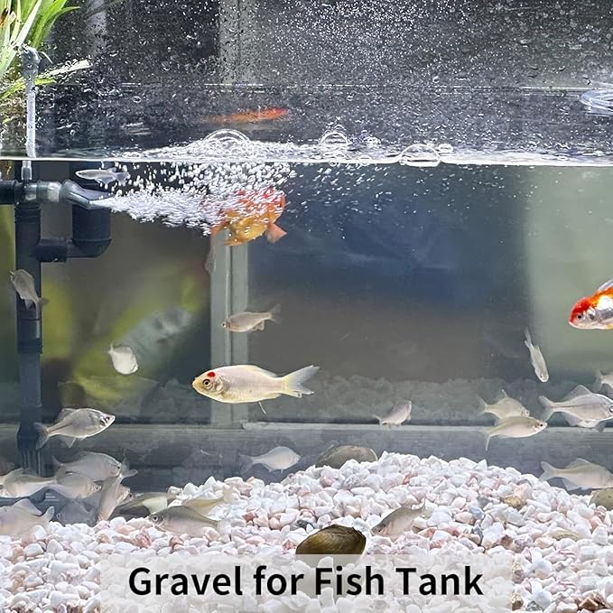 10LB Natural Succulent Gravel Decorative White Rocks - 3/8'' Small White Pebbles for Plants, Decorative Stones, Succulent Rocks Pebbles for Planter, Aquarium Pea Gravel for Landscaping