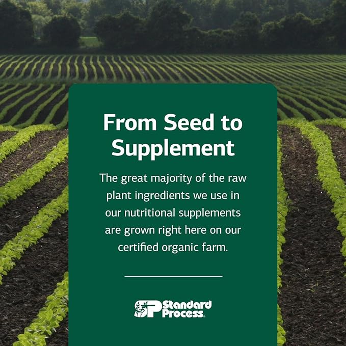 Standard Process Inc. Canine Flex Support - Joint & Immune Health Supplement for Dogs - Chewable Wafers for Healthy Joint Function Support - Nutritional Whole-Food Based Supplement - 100 wafers