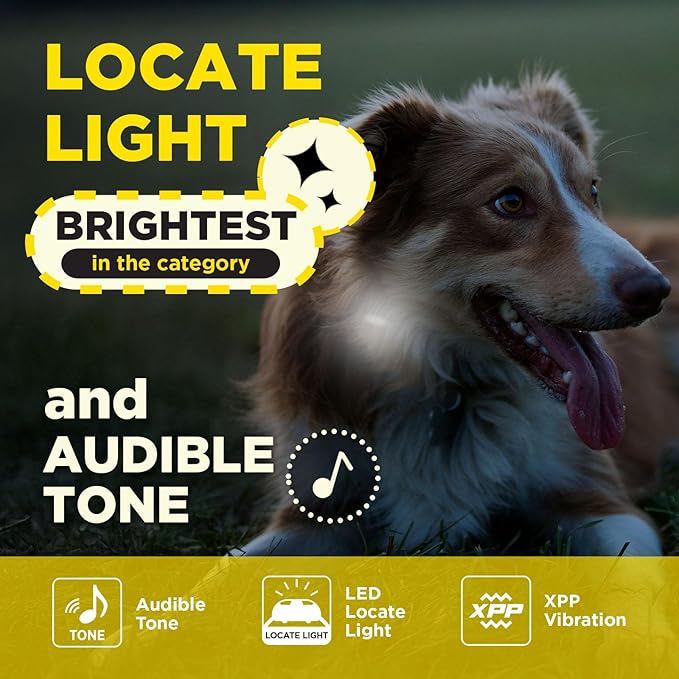 Dogtra 200iQ 2-Dog Remote Training E Collar – 100 Levels, Tone, Vibration, 1/2 Mile Range – Compact, Waterproof, One-Handed Control for Dogs 10 lbs+ – Lightweight System for Daily Obedience Training