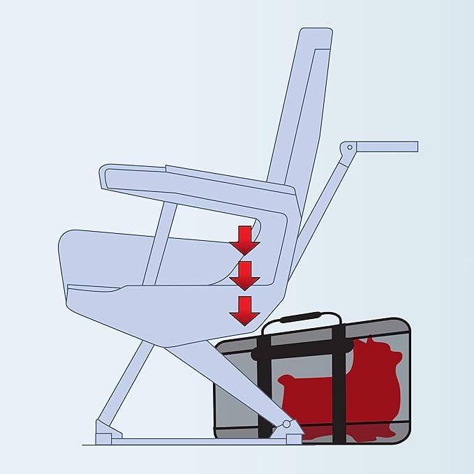 Sherpa Forma Frame Crash-Tested Travel Pet Carrier, Airline Approved & Guaranteed On Board - Black, Medium