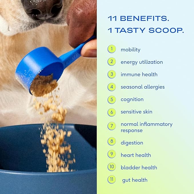 Native Pet The Daily Dog Supplement (60 Scoops) & Salmon Oil for Dogs & Cats (8 Oz) - 11 in 1 Multivitamin & Pure Omega-3 Fish Oil Supplement for Skin & Coat, Joint, Heart Health & Anti-Inflammatory