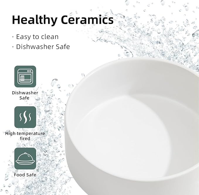 Ceramic Raised Dog and Cat Bowl Set, 2 Heights Elevated Stand, Food and Water Bowl for Small Breed Dogs, Weighted Dog Dishes, Pet Bowl(6.1'',28.7oz, White)