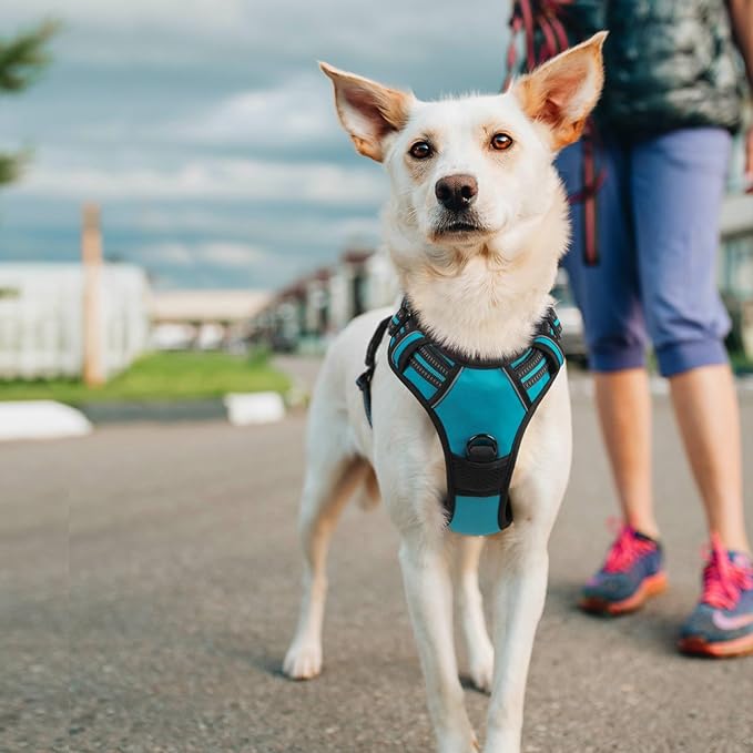 rabbitgoo Dog Harness No Pull with 2 Leash Clips, Adjustable Soft Padded, Reflective Oxford No Choke Pet Vest with Easy Control Handle for Large Dogs, Teal, L