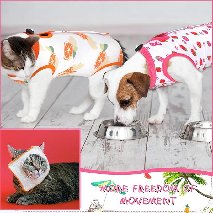 Nuanchu 3 Pieces Cat Recovery Suit Kitten Recovery Suit E-Collar Alternative for Cats and Dogs Abdominal Skin Anti Licking Pajama Clothes Sets(Fruit Pattern,Small)