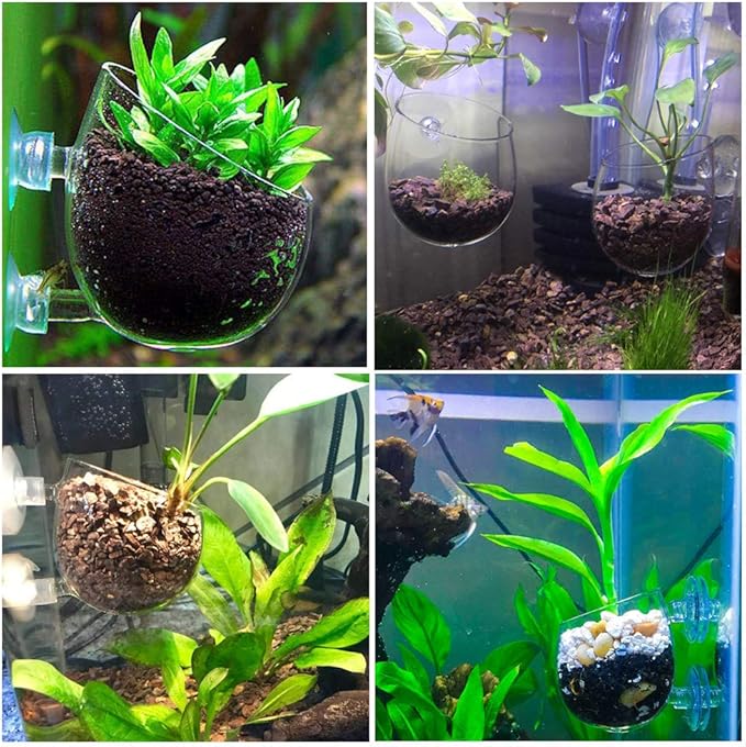 capetsma 4X Crystal Glass Aquarium Plant Pot, Aquarium Aquatic Planter, Red Shrimp Live Plants Fish Tank Glass Holder with 4X Suction Cups for Aquarium Fish Tank Decorations ⦠(4 Pack)ā¦