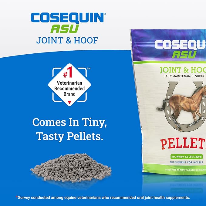 Nutramax Laboratories Cosequin ASU Joint & Hoof Pellets Joint Health Supplement for Horses - Pellets with Glucosamine, Chondroitin, MSM, and Biotin, 1200 Grams